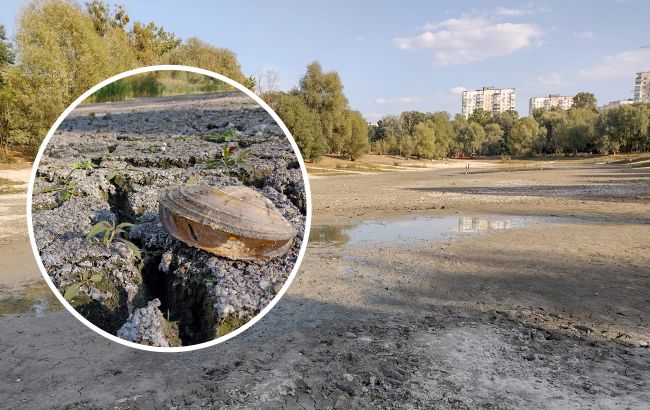 "Озеро померло". Популярна київська водойма перетворилася на пустелю (фото)