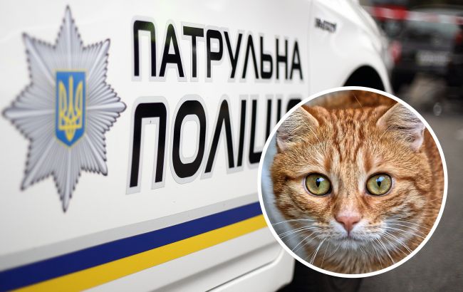 Добро победит! Патрульные под Киевом помогли женщине вернуть домой пушистого любимца