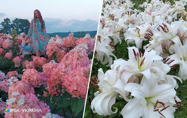 Насолодитись красою. Незвичайні квіткові локації для подорожі на вікенд