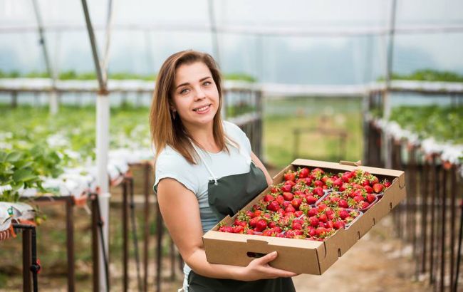 Для украинских заробитчан в Польше изменили правила прохождения карантина