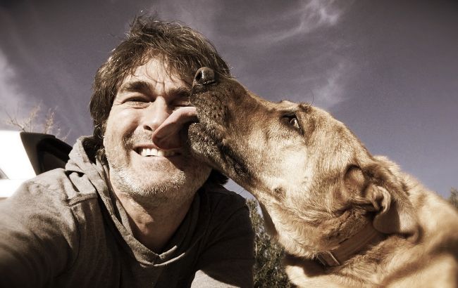 Почему собака вылизывает лицо хозяину: простое объяснение ученых