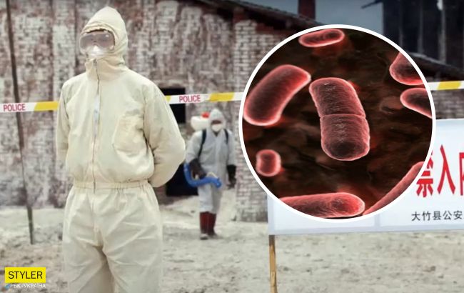 Бубонная чума 2020: стоит ли переживать украинцам из-за новой вспышки