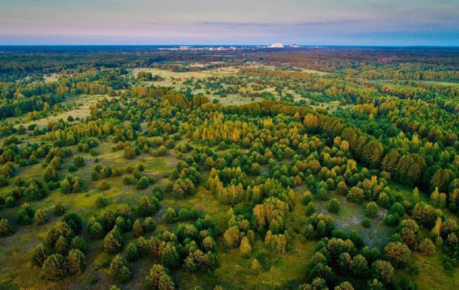 У Зоні відчуження - три осередки займання, а Київську область оточив смог: що відомо