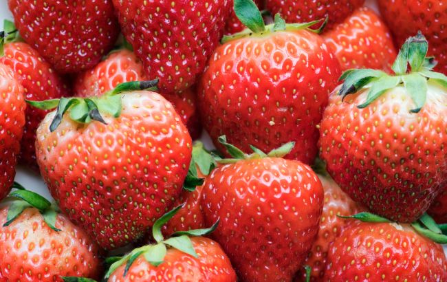 Яке добриво найкраще підходить для полуниці? Ось що радять агрономи