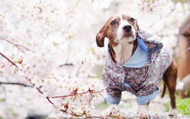 Синоптики предупреждают о дождях и грозах в Украине