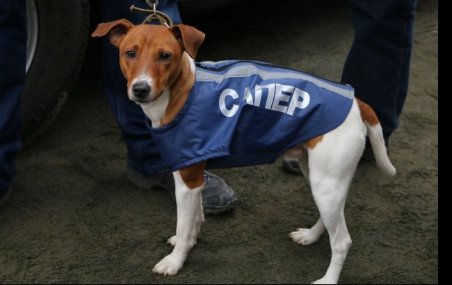 Пиротехники ГСЧС с начала года изъяли более 18,2 тыс. боеприпасов