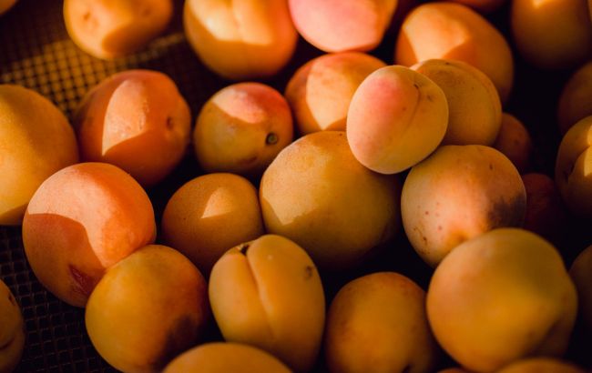 Абрикоси вже на прилавках: які ціни і що з урожаєм цього року