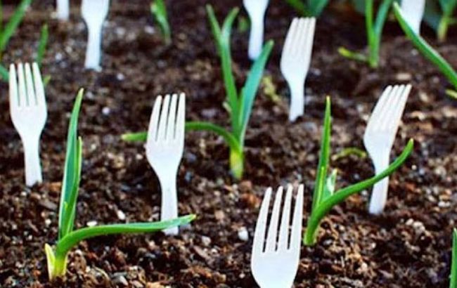 Як пластикові виделки допоможуть великому врожаю: 4 несподіваних лайфхаки