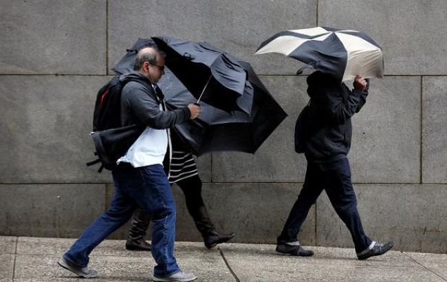 Синоптики предупреждают о порывах ветра на западе Украины 1 декабря