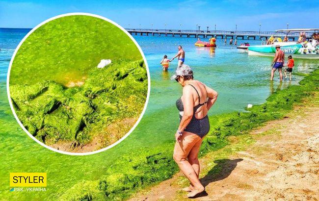 Смотрите, как россияне плавают в море-болоте на Кубани: видео, вызывающее отвращение