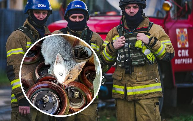 Рятувальники ДСНС показали нову пухнасту "співробітницю" (фото)