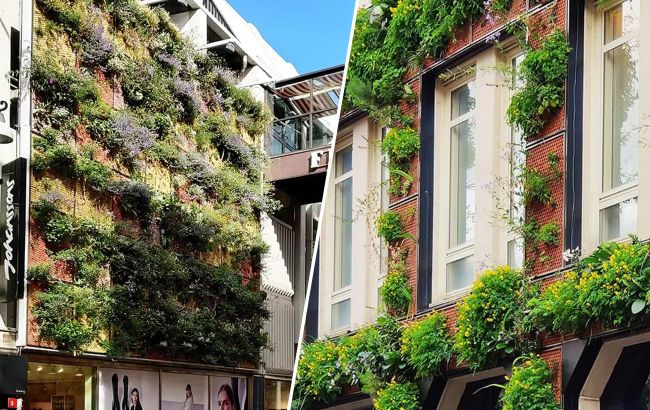 Скоро в Киеве появятся "живые" стены. Смотрите, как они будут выглядеть (фото)