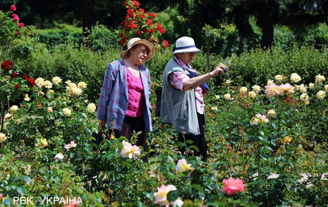 Украинцы назвали источники дополнительного дохода на пенсии