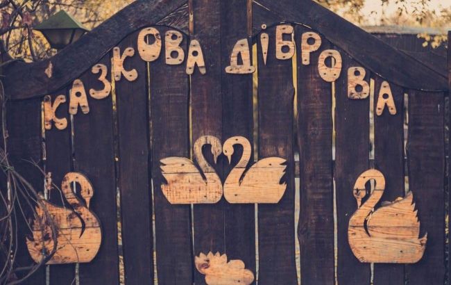 Обезьянки Анфиса и Чарлик, ослик Ося, еноты Мишка, Леля, Динька: в зоопарке под Херсоном погибло более 300 животных