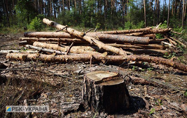 Гослесагентство завершает разработку онлайн-карты рубок по всей Украине