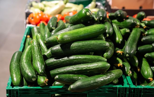 Огірки дешевшають: коли буде найвигідніша ціна для консервації