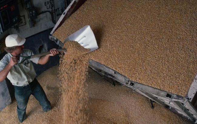 Запасы продовольственного зерна составляют 6,5 млн тонн, - Минагрополитики