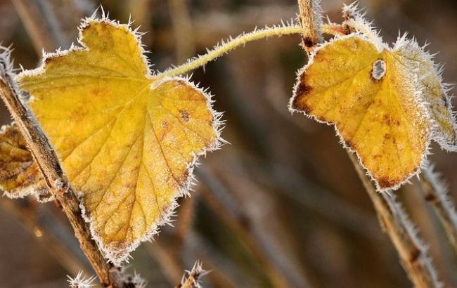 ГСЧС предупреждает о заморозках в ряде регионов Украины 21-23 сентября