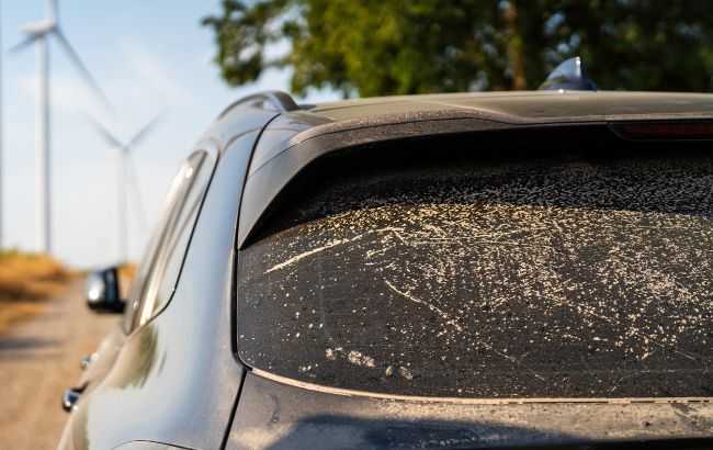 Украину снова может накрыть пустынная пыль, - синоптик