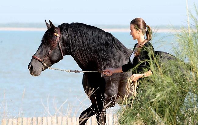 Гороскоп на сегодня, 30 января