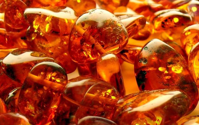 Ровненский суд арестовал 2,5 т янтаря до конца следствия, - Геращенко