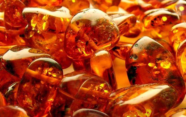 Пограничники в 2015 году задержали более 600 кг янтаря, - ГПС