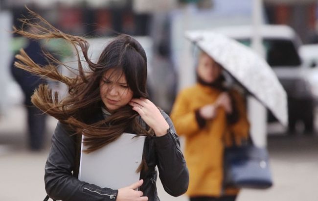 Синоптики предупреждают о порывах ветра и лавинной опасности в Украине