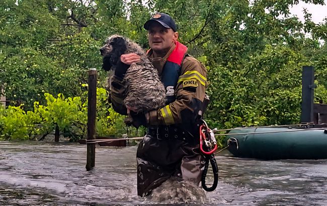 Затопило 230 будинків: на Львівщині за добу випала річна норма дощів