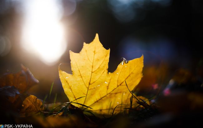 Синоптики рассказали, когда в Украине начнется зима (видео)