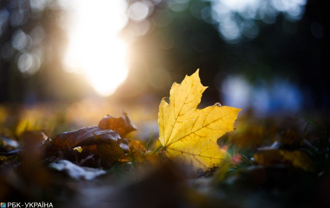 Завтра в Украине потеплеет до +20