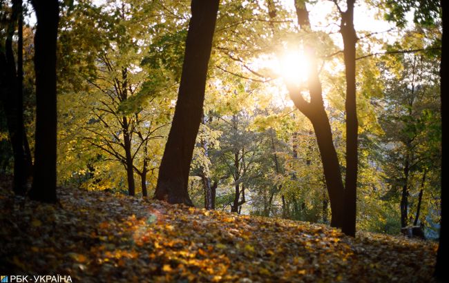 В Україну повертається спекотна погода