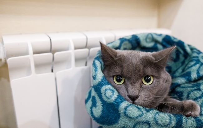 Вимкнутити чи просто прикрутити на ніч? Як взимку зекономити на опаленні