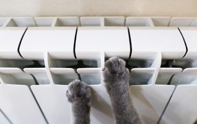 Как правильно выбрать обогреватель, чтобы зимой хватило на всю квартиру