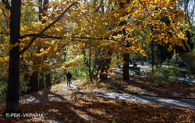 Местами морозно, но сухо: какой будет погода в Украине до конца октября