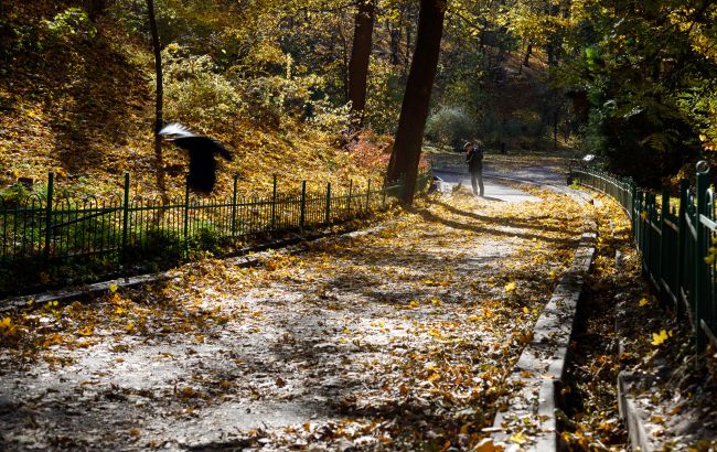 Якою буде погода в жовтні: прогноз Укргідрометцентру