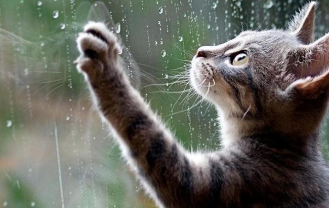 КМДА попереджає киян про погіршення погодних умов 13 березня