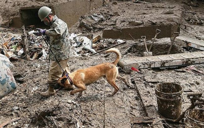 Оползень в Японии: количество жертв и пострадавших выросло
