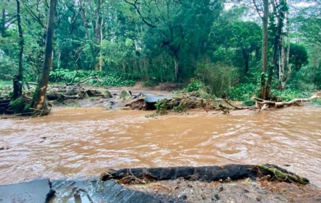 На Гаваях рятуються від повені: зруйновані будинки, людей евакуюють
