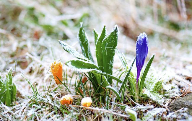 Синоптики предупреждают о заморозках в Киеве