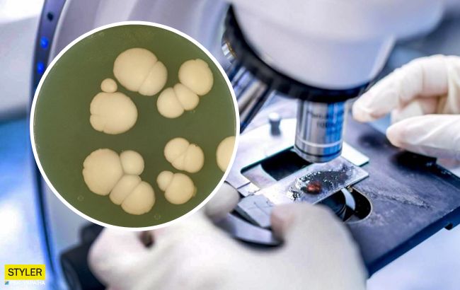 Человечество в опасности: по всему миру распространяется новый "супергрибок"