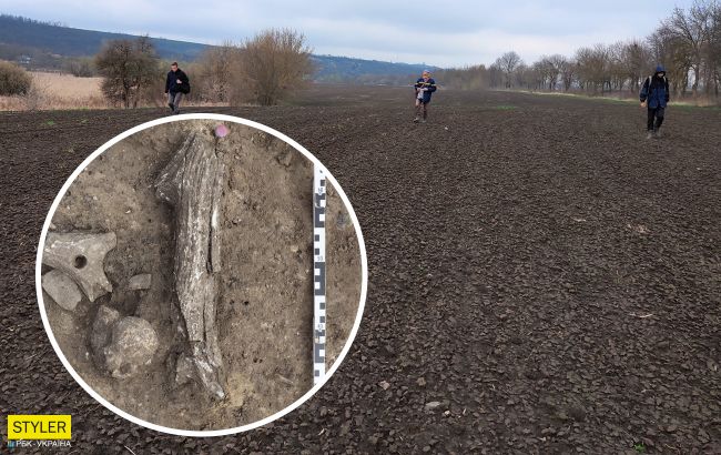 Під Вінницею виявили кургани та поселення енеоліту, епохи бронзи та залізного віку (фото)