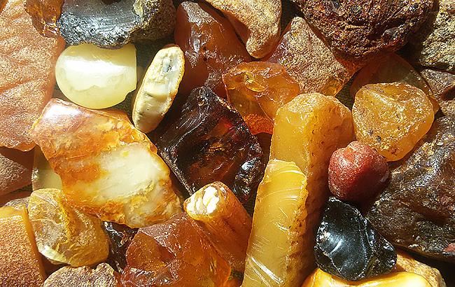 На кордоні з ЄС затримано близько 450 кг бурштину за рік