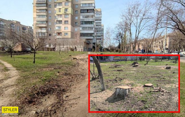 В Киеве уничтожили деревья в сквере, который создали в честь украинского разведчика (фото)