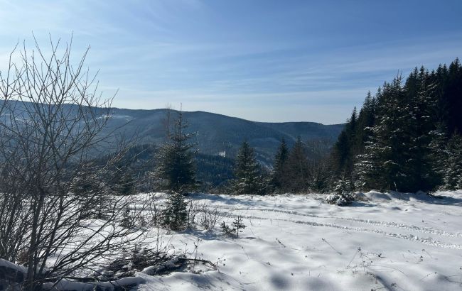 Суровые погодные условия. В Карпатах фиксируют до 30 градусов мороза