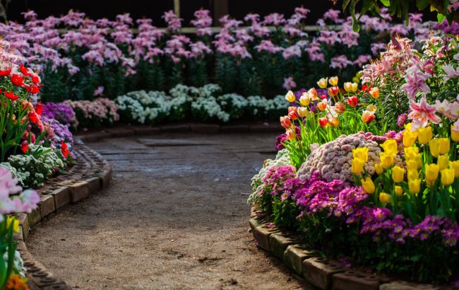 Не просто клумба: 5 ідей, як неповторно оформити квітник у 2025 році