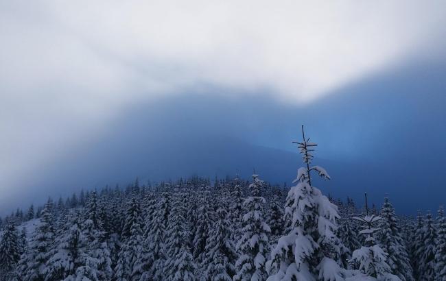 Высота снежного покрова в Карпатах продолжает расти
