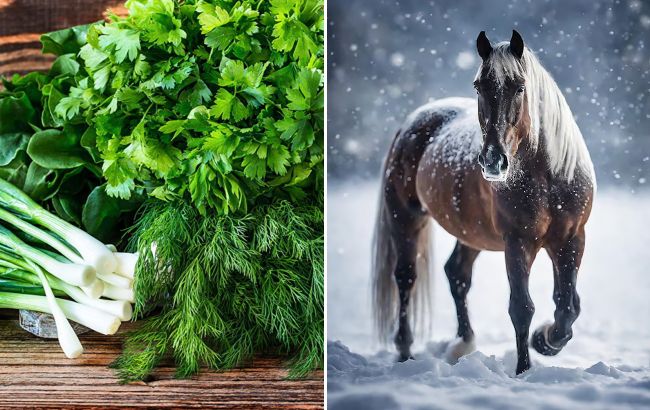 Що поставити на стіл, щоб задобрити Коня 2026? Один інгредієнт, який принесе гроші