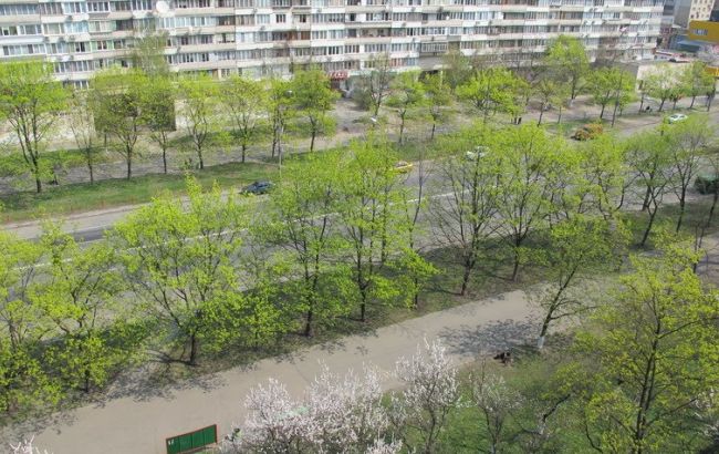 У Києві знайдено поховання часів Другої світової війни