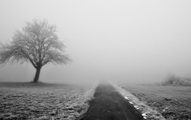 Синоптики попереджають про туман в Україні 2 лютого