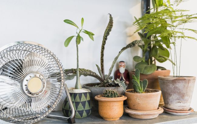 Почему нельзя спать под вентилятором: названа главная опасность